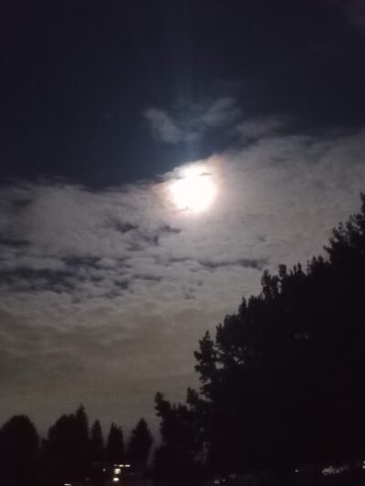 Baltimore Park - Tacoma, WA