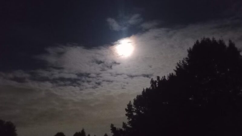 Baltimore Park - Tacoma, WA