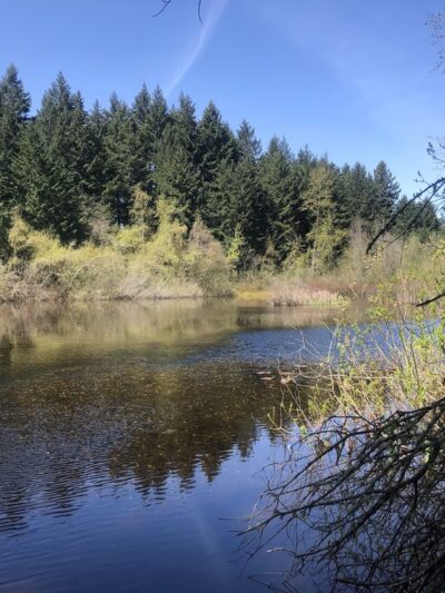 China Lake Park - Tacoma, WA