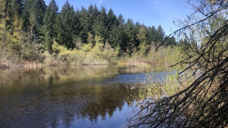 China Lake Park - Tacoma, WA