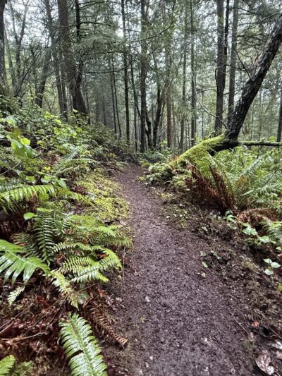 China Lake Park - Tacoma, WA