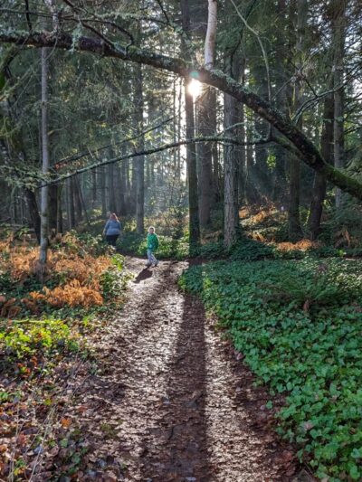 China Lake Park - Tacoma, WA