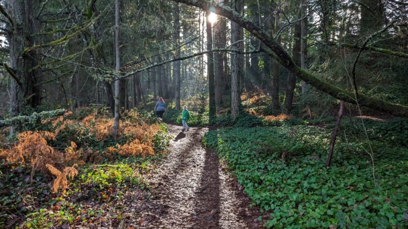 China Lake Park - Tacoma, WA
