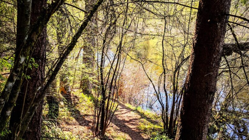 China Lake Park - Tacoma, WA