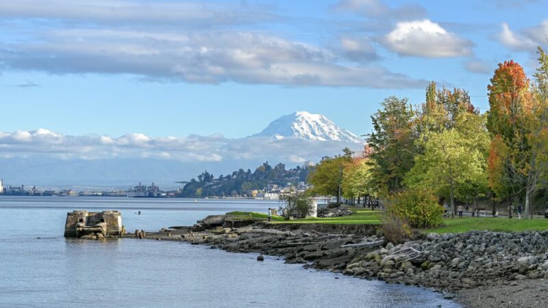 Cummings Park - Tacoma, WA