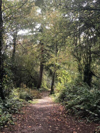 Delong Park - Tacoma, WA