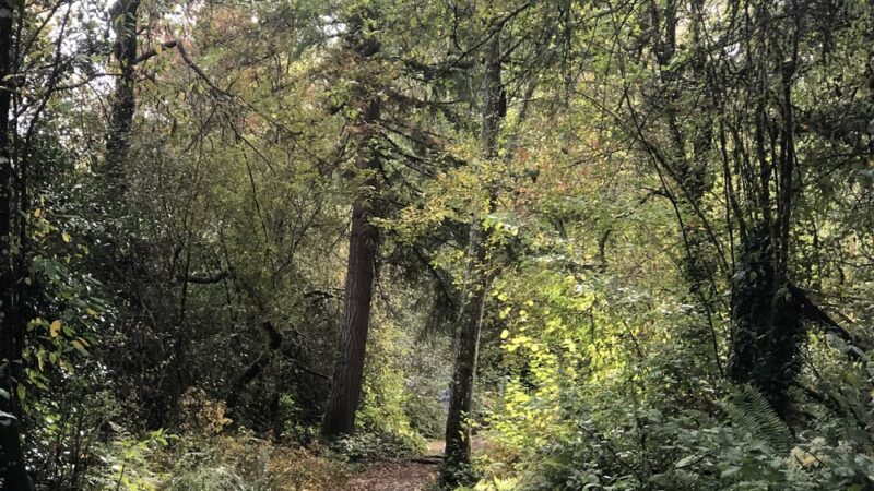 Delong Park - Tacoma, WA