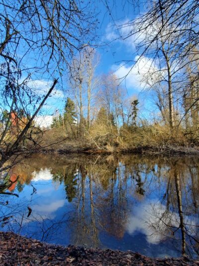 Delong Park - Tacoma, WA