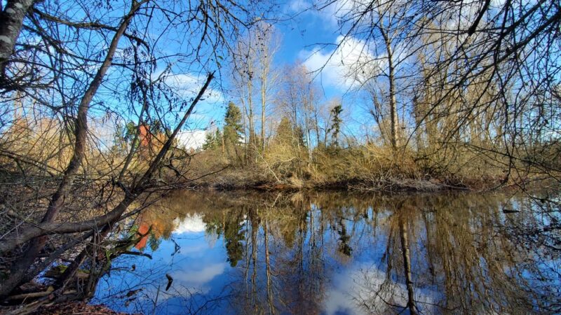 Delong Park - Tacoma, WA