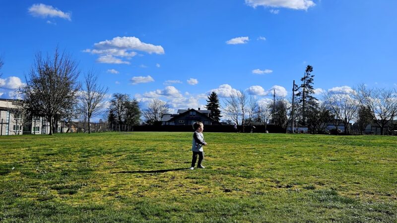 Edna Travis Park - Tacoma, WA