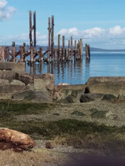 Hamilton Park (Ruston Way) - Tacoma, WA