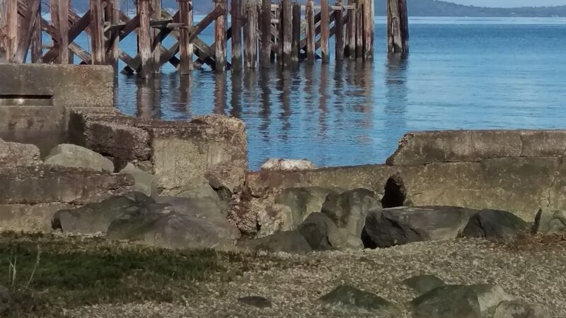 Hamilton Park (Ruston Way) - Tacoma, WA