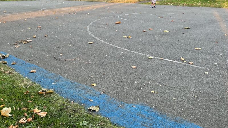 Irving Park - Tacoma, WA