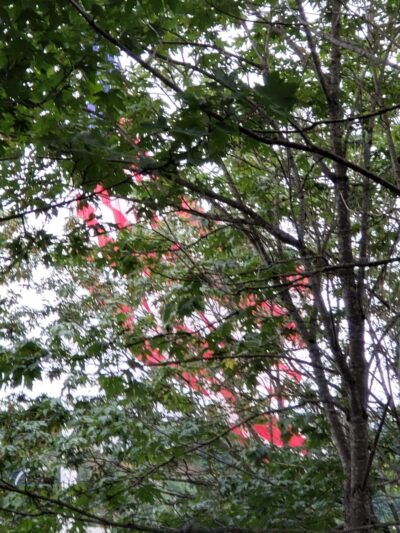 Irving Park - Tacoma, WA