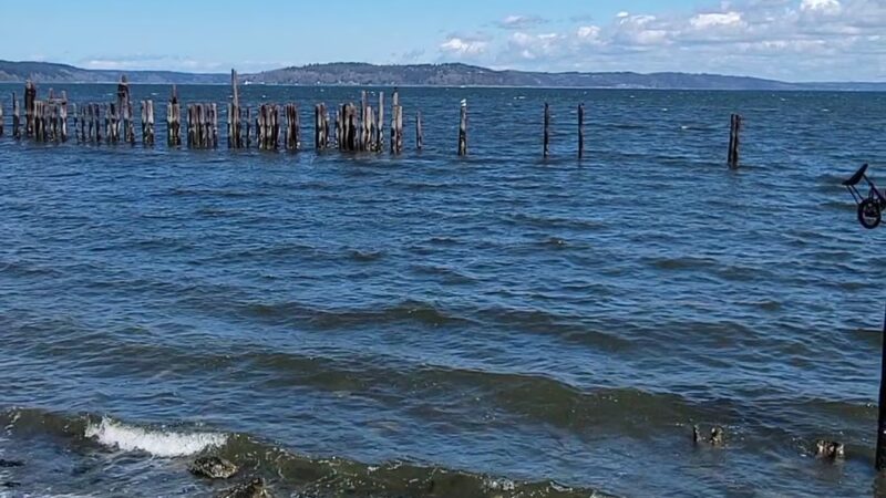 Judge Jack Tanner Park - Tacoma, WA
