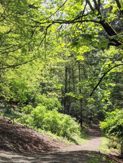 McKinley Park - Tacoma, WA