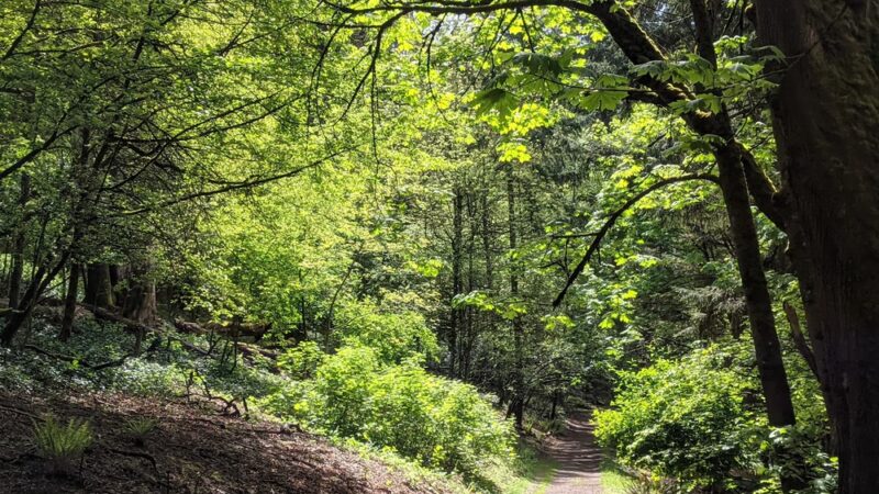 McKinley Park - Tacoma, WA