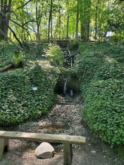 McKinley Park - Tacoma, WA