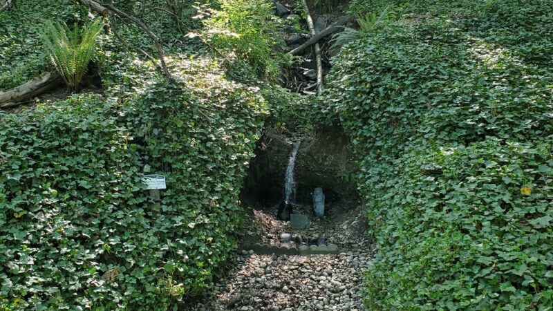 McKinley Park - Tacoma, WA