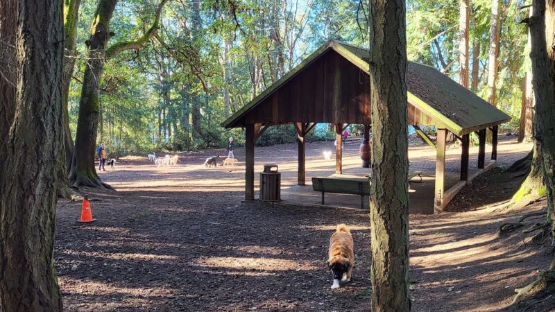 Point Defiance Dog Park - Tacoma, WA