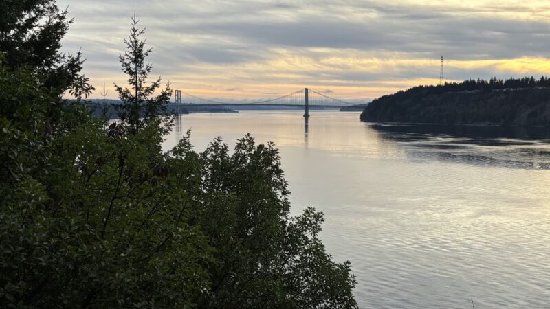 Point Defiance Dog Park - Tacoma, WA