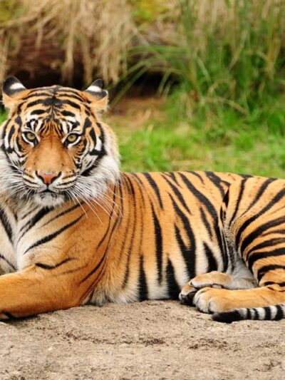 Point Defiance Park - Tacoma, WA