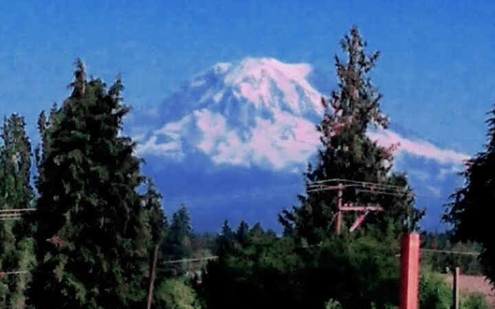 Rogers Dog Park - Tacoma, WA