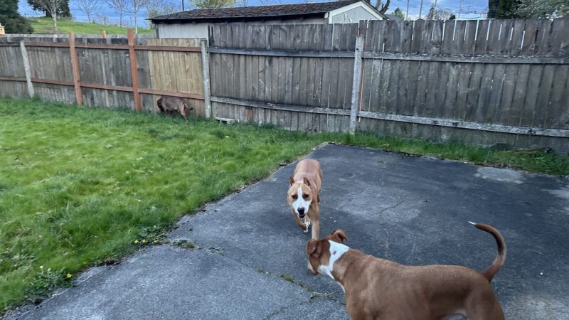 SniffSpot South Tacoma - Tacoma, WA