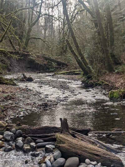 Swan Creek Park - Tacoma, WA