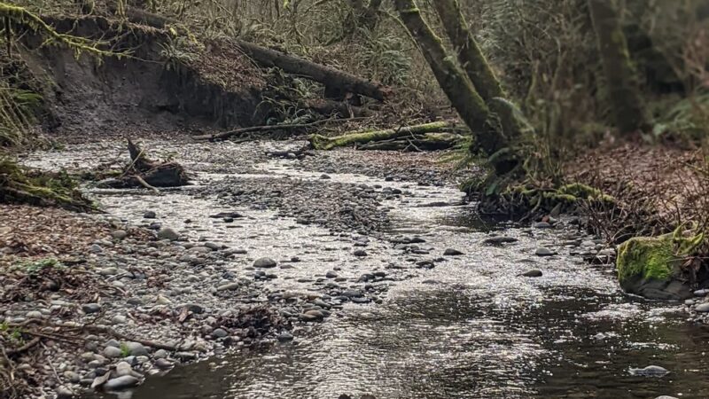 Swan Creek Park - Tacoma, WA