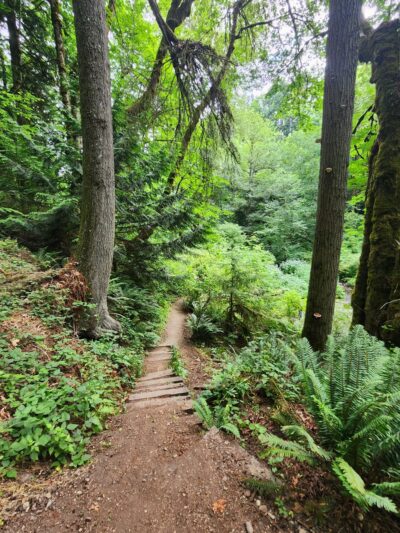 Swan Creek Park - Tacoma, WA