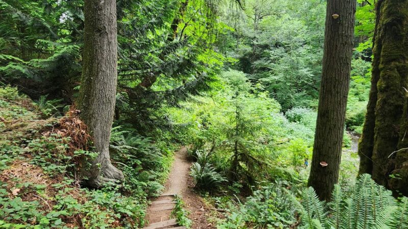 Swan Creek Park - Tacoma, WA