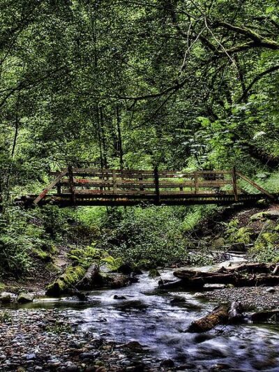 Swan Creek Park - Tacoma, WA