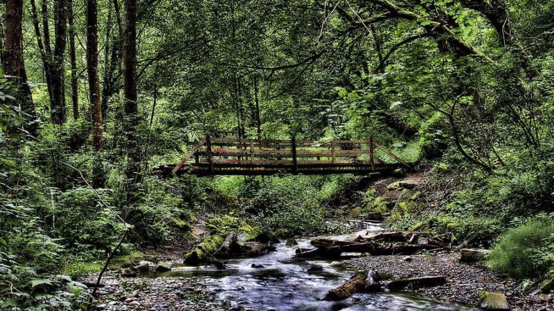 Swan Creek Park - Tacoma, WA