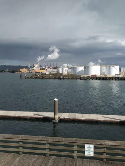 Thea's Park - Tacoma, WA