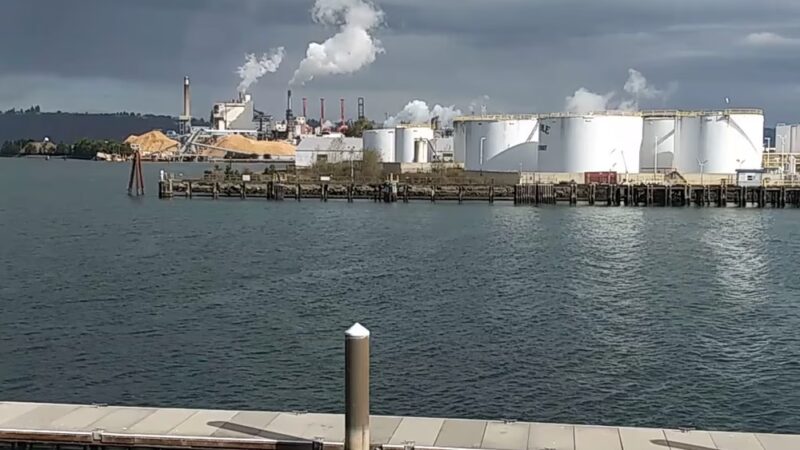 Thea's Park - Tacoma, WA