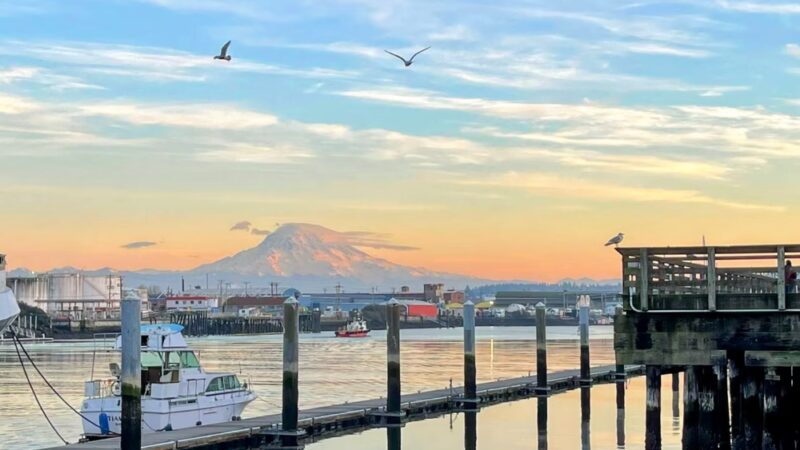 Thea's Park - Tacoma, WA