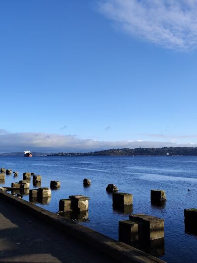 Thea's Park - Tacoma, WA