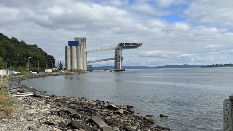 Thea's Park - Tacoma, WA