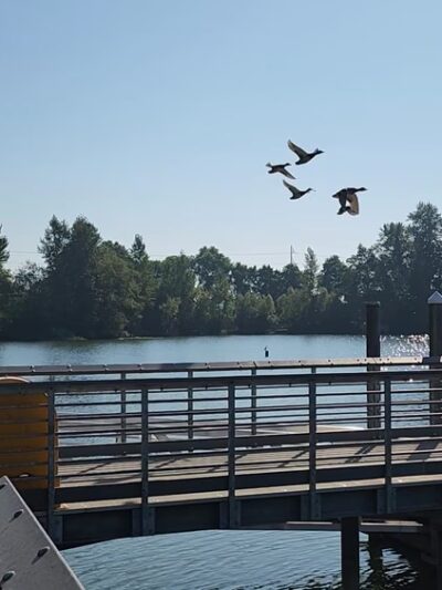 Wapato Park - Tacoma, WA