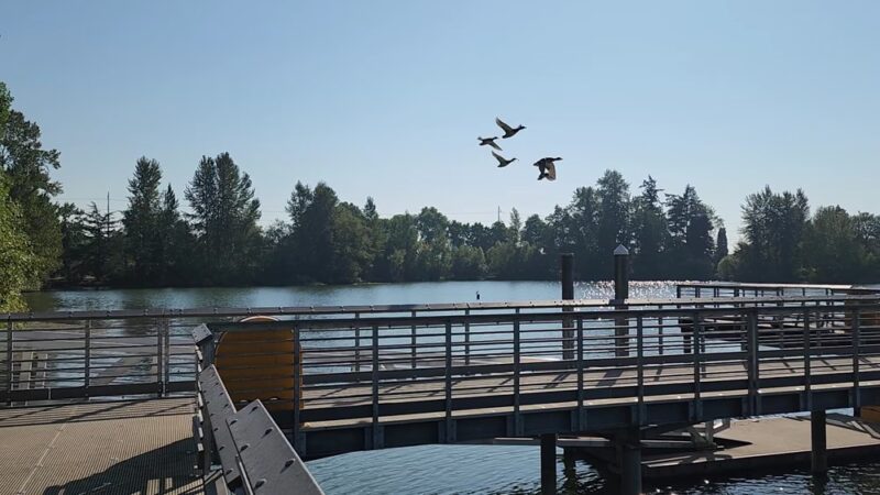 Wapato Park - Tacoma, WA