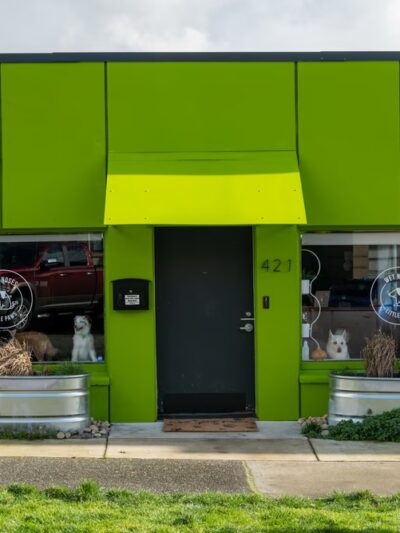 Wet Noses Dry Paws - Tacoma, WA