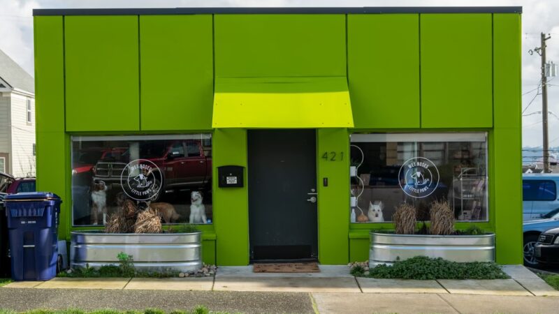 Wet Noses Dry Paws - Tacoma, WA