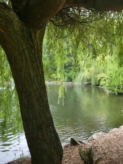 Wright Park - Tacoma, WA