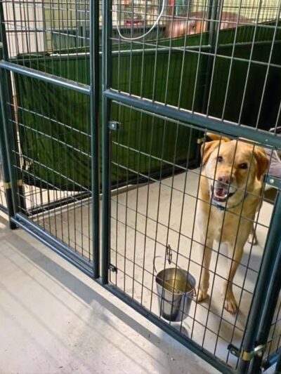 47 Dog Depot, LLC - Tallassee, AL