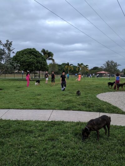 Gary B Jones Park for People and Pups - Tamarac, FL