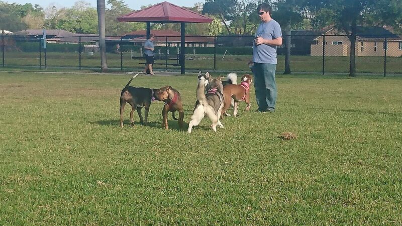 Gary B Jones Park for People and Pups - Tamarac, FL