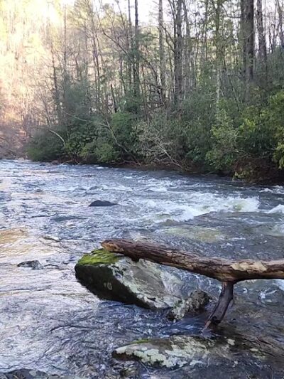 Horse Cove Campground, Cheoah Ranger District, Nantahala National Forest - Tapoco, NC