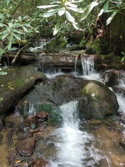 Horse Cove Campground, Cheoah Ranger District, Nantahala National Forest - Tapoco, NC