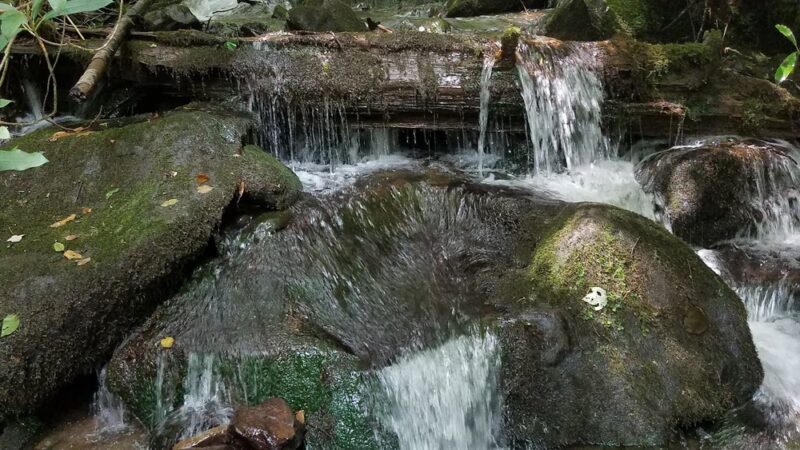 Horse Cove Campground, Cheoah Ranger District, Nantahala National Forest - Tapoco, NC